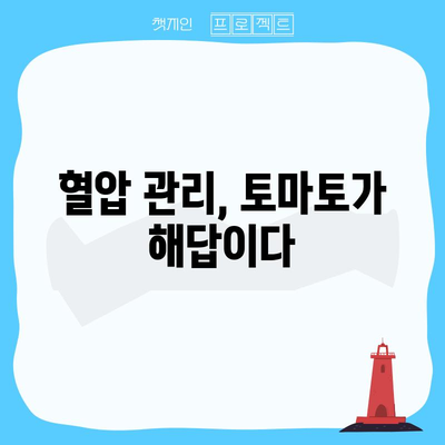 토마토의 놀라운 고혈압 예방 효능 | 7가지 혜택 탐구