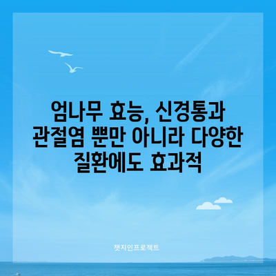 엄나무, 신경통과 관절염을 완화하는 6가지 효능