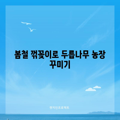 두릅나무 번식 | 꺾꽂이를 통한 쉬운 모종 확보