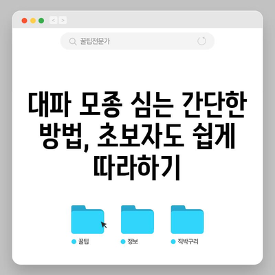 대파 모종 심기의 쉬운 비결 | 계절별 안내