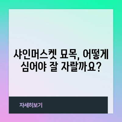 샤인머스켓 묘목 심기와 가지치기 | 풍성한 수확을 위한 비결