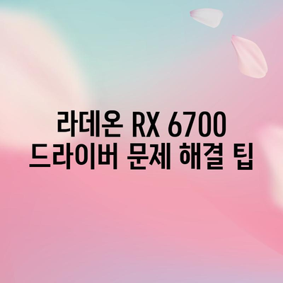 라데온 RX 6700 드라이버 | 업데이트 및 다운로드