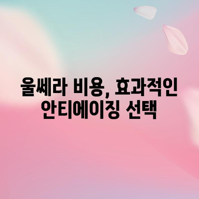울쎄라 비용 | 젊은 피부를 위한 가치적 투자