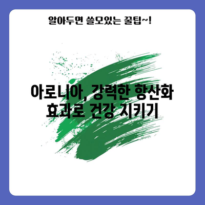 강력한 항산화제 아로니아의 놀라운 효능과 건강한 식단으로 섭취하는 방법