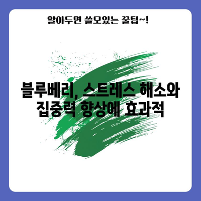 뇌 건강을 위한 블루베리의 3가지 이점