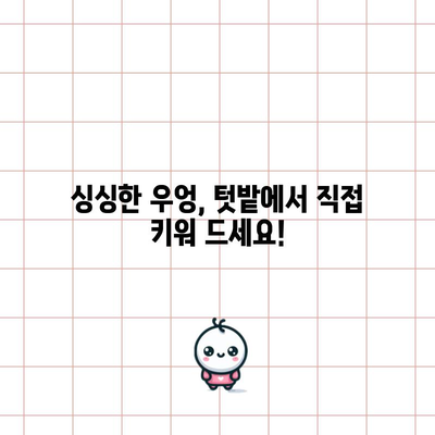 우엉 키우기 쉽고 빠르게 성공하는 전 과정