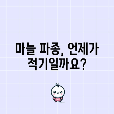 마늘 파종과 홍산 마늘 심기 | 시기와 팁
