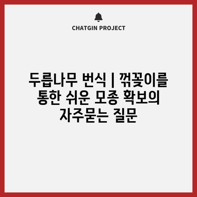 두릅나무 번식 | 꺾꽂이를 통한 쉬운 모종 확보