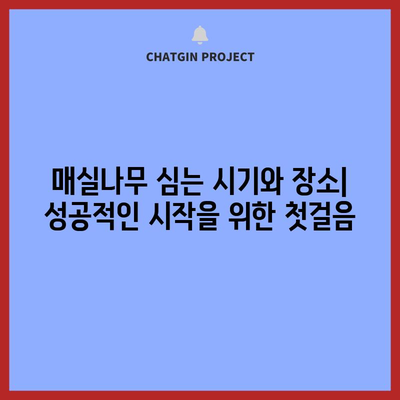 매실나무 완벽 가이드 | 방법과 시기를 알아보자