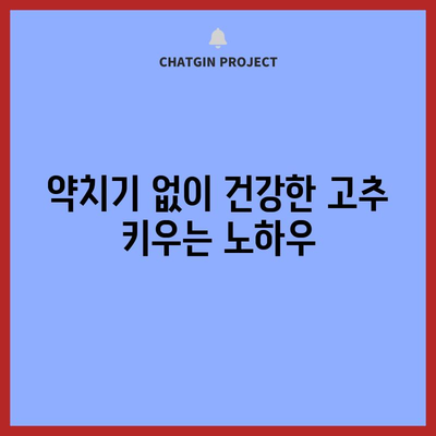 고추 약치기 | 시기와 방법으로 건강한 수확