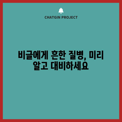 비글의 흔한 건강 문제 분석