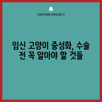 임신 고양이 중성화 지침 | 증상, 수술 시기, 이유