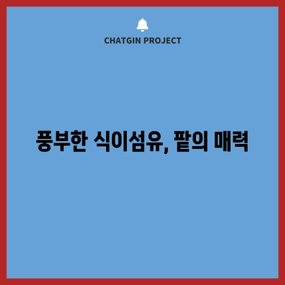 붉은 보석 팥의 다양한 6가지 건강상의 이점