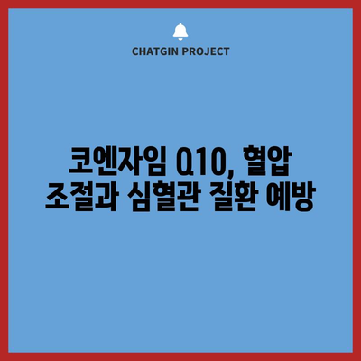 코엔자임 Q10, 건강한 심혈관계를 위한 비결