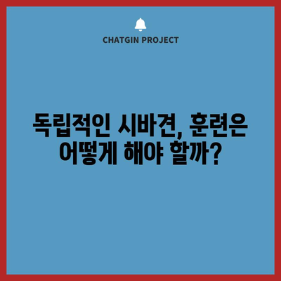 시바견의 진짜 성격 탐구