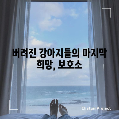 강아지 보호소 | 의미와 역할