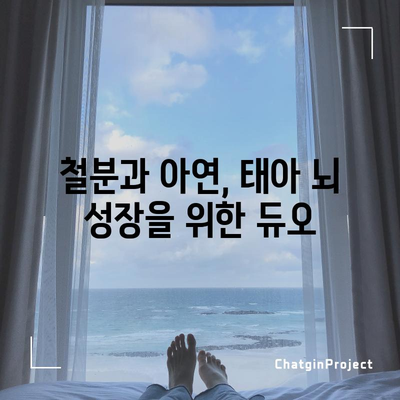 태아 뇌 발달에 필수적인 식품