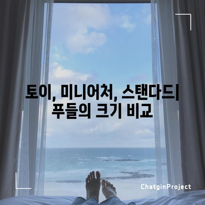 푸들 품종별 차이점 파헤치기