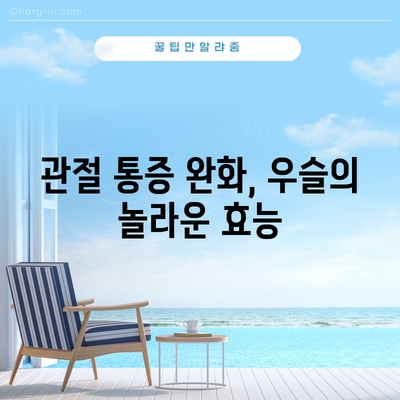 우슬 | 건강에 활력을 불어넣는 4가지 효능
