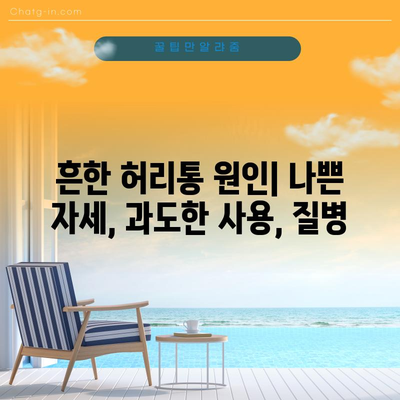 허리통의 원인과 자가 관리법 | 안정감과 통증 해소
