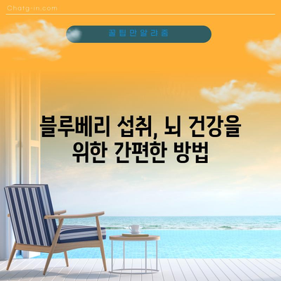 뇌 건강을 위한 블루베리의 3가지 이점