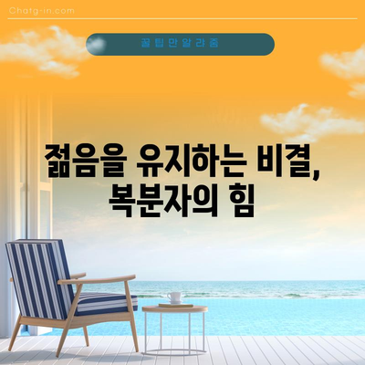복분자의 맛있고 건강한 이점