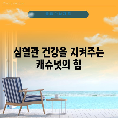 견과류의 별 | 캐슈넛의 다양한 건강상 이점