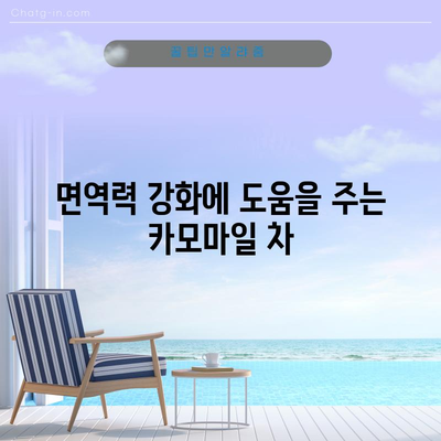 카모마일의 다양한 건강상 효능