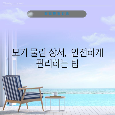 모기 물림 대처법 | 즉각적인 조치와 완화 방법