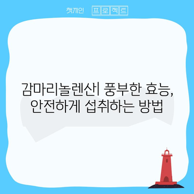 감마리놀렌산 | 놀라운 건강 효능 탐구