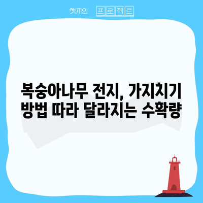 복숭아나무 전지방법 | 여름철 풍부한 수확을 위한 시기와 방법