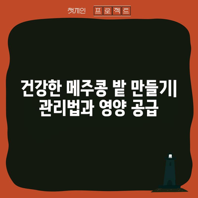 메주콩 재배 완벽 가이드 | 심기부터 수확까지