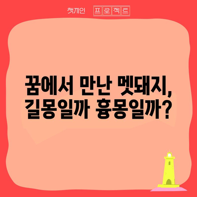 멧돼지 꿈해몽 | 청룡년 해석