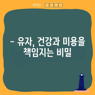 유자나무 가이드 | 특징, 관리 및 활용법