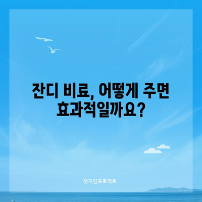 생생한 잔디를 위한 비료 시기와 방법