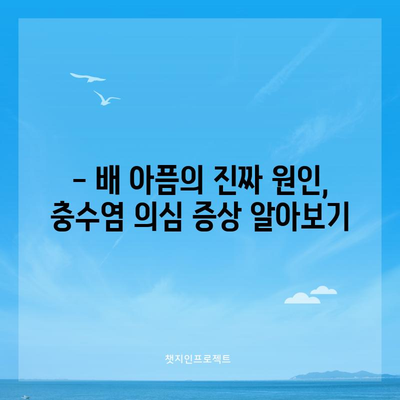충수염 자가진단 | 증상, 진단, 치료 지침
