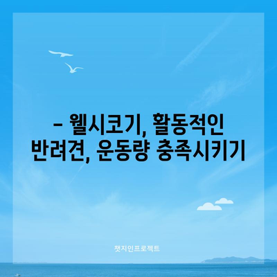 웰시코기의 특징과 키우는 팁