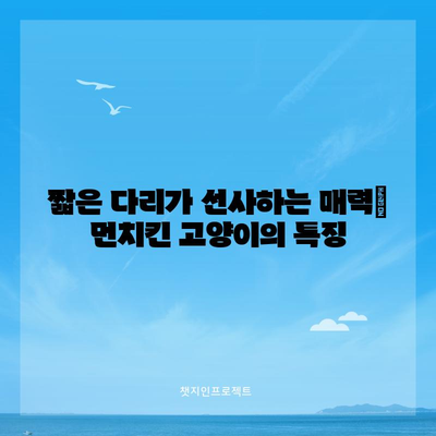 먼치킨 고양이의 독특성 탐구