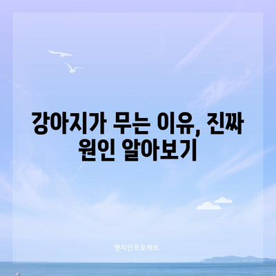무는 강아지 원인과 교정 훈련