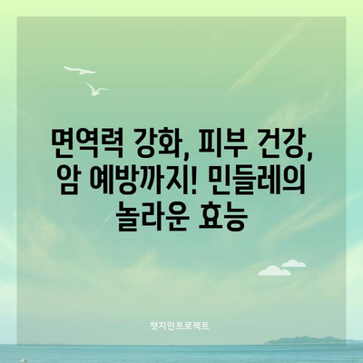 민들레의 놀라운 효능과 잠재적 부작용 | 면역 강화부터 암 예방까지