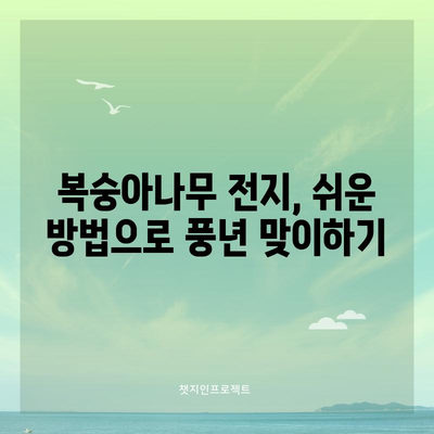 복숭아나무 전지방법 | 여름철 풍부한 수확을 위한 시기와 방법