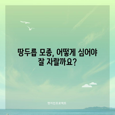 땅두릅 모종 심기 | 시기와 방법 최적화