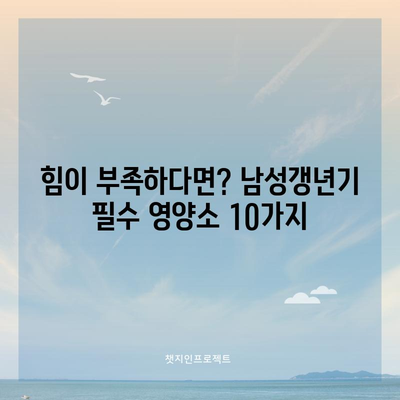 기력 회복 필수! 남성갱년기에 효과적인 영양소 10가지