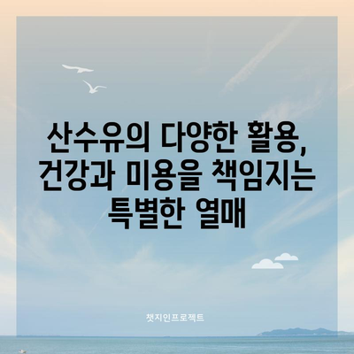산수유 효능 탐구 | 건강상의 이점과 섭취 권장 사항