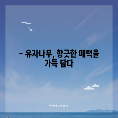 유자나무 가이드 | 특징, 관리 및 활용법