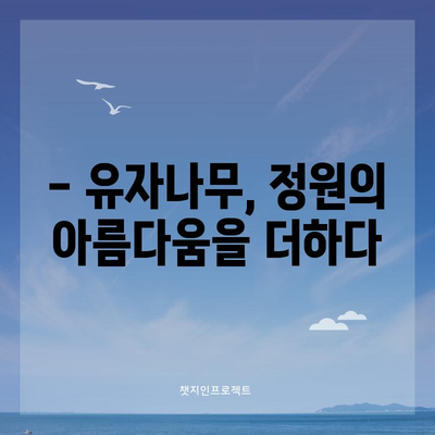 유자나무 가이드 | 특징, 관리 및 활용법