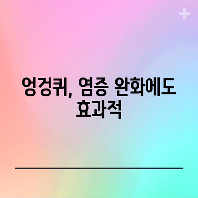 엉겅퀴의 강력한 효능 | 6가지 놀라운 이점