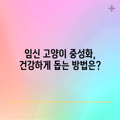 임신 고양이 중성화 지침 | 증상, 수술 시기, 이유