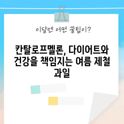 칸탈로프멜론의 숨겨진 효능 | 영양가 넘치는 여름 과일