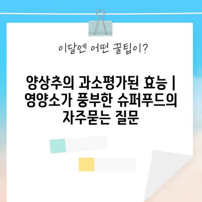 양상추의 과소평가된 효능 | 영양소가 풍부한 슈퍼푸드